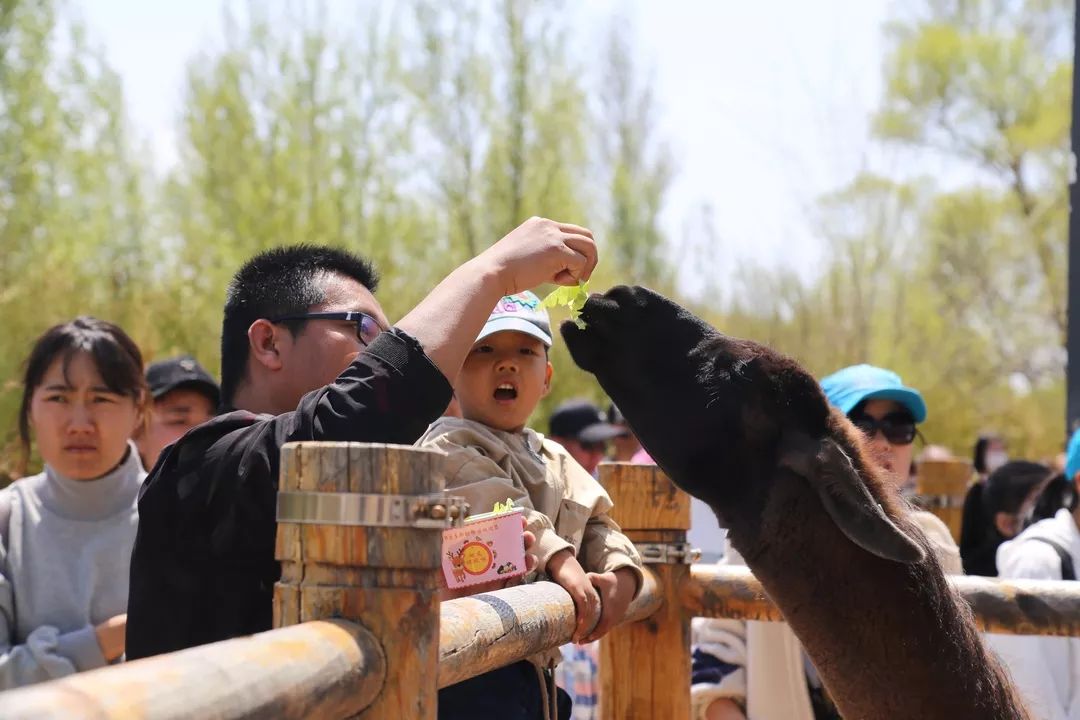 微信圖片_20190723174127.jpg