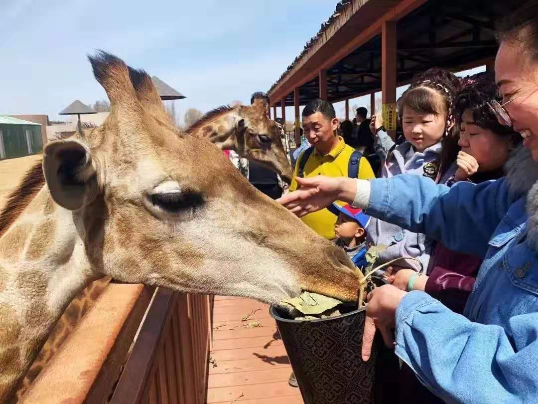 微信圖片_20190723175225.jpg