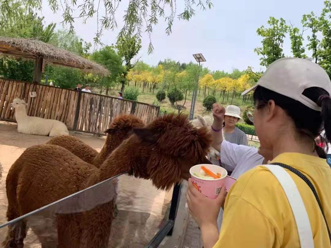 微信圖片_20190723175648.jpg